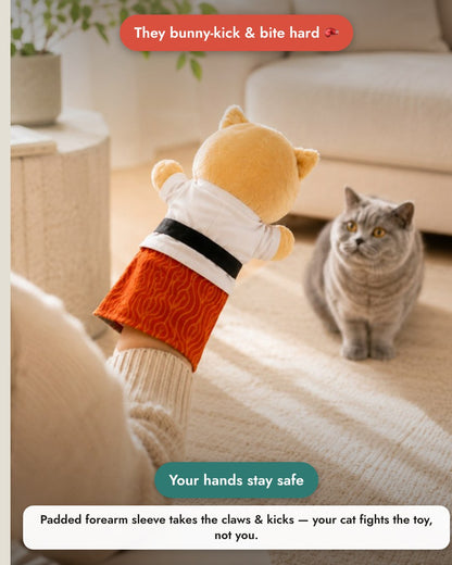 Movaro Karate Cat 3