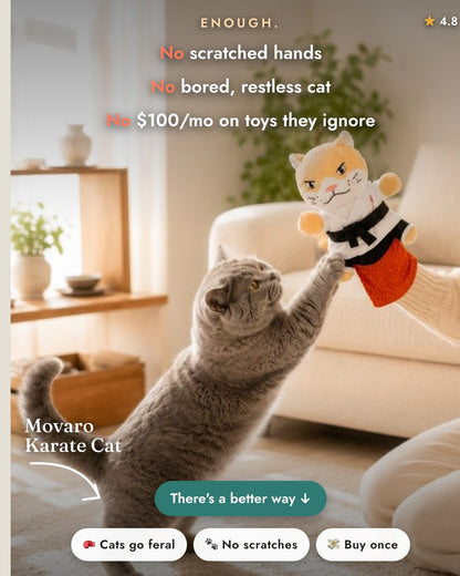 Movaro Karate Cat 1