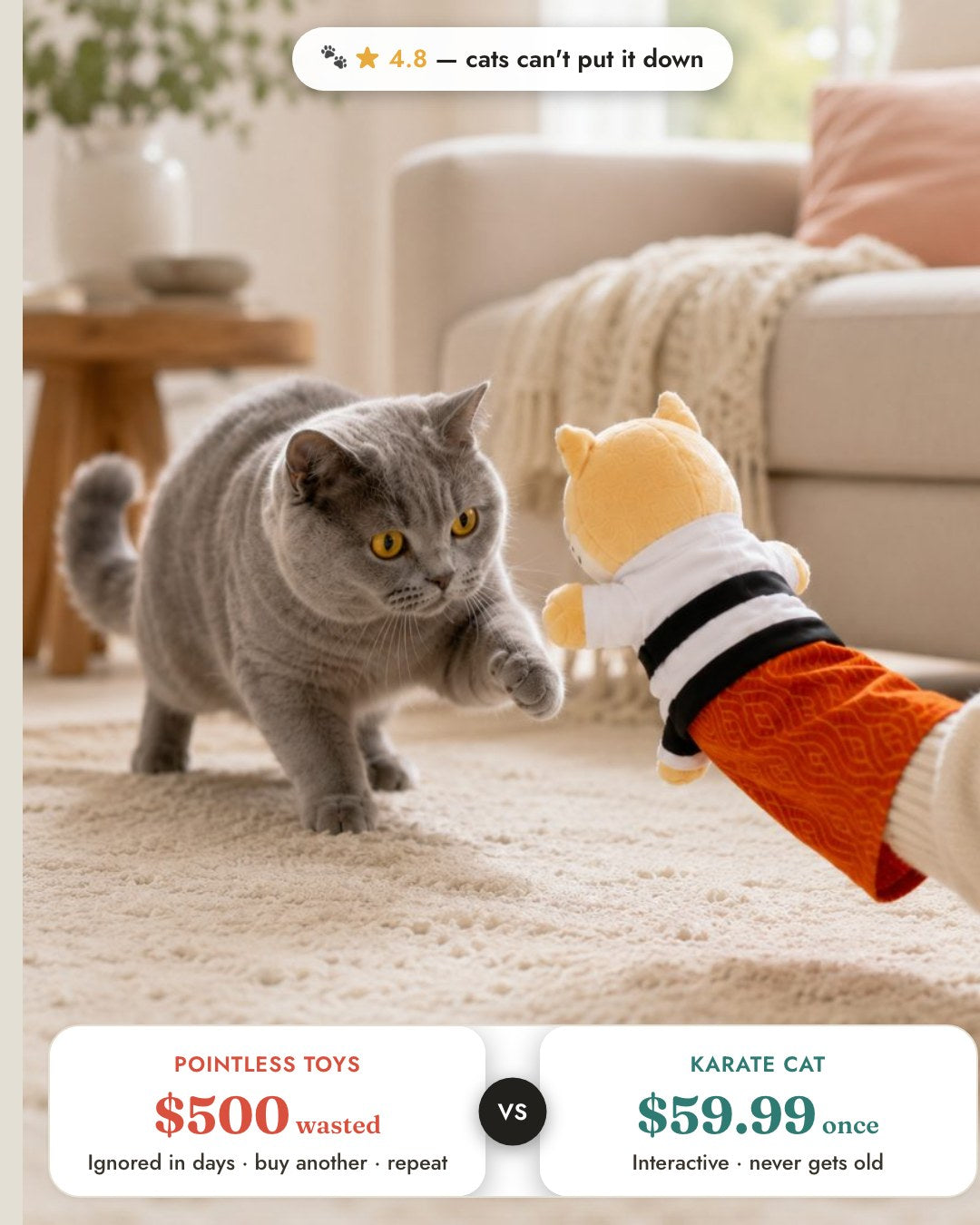 Movaro Karate Cat 4
