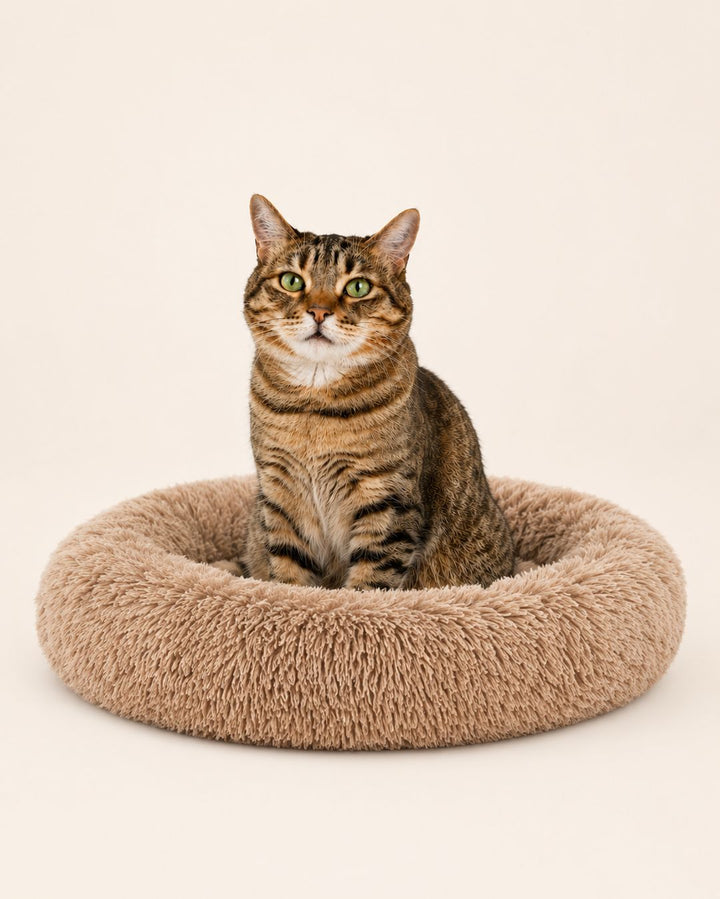 Movaro Calm Bed — cat curled in the round faux-fur bed