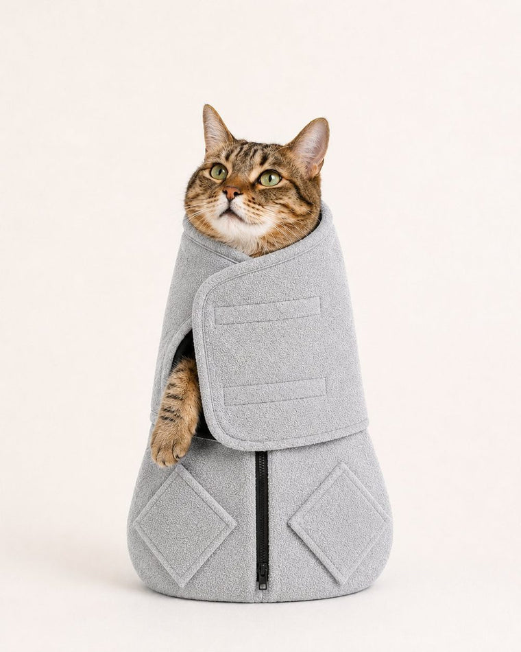 Movaro wrap on a calm cat