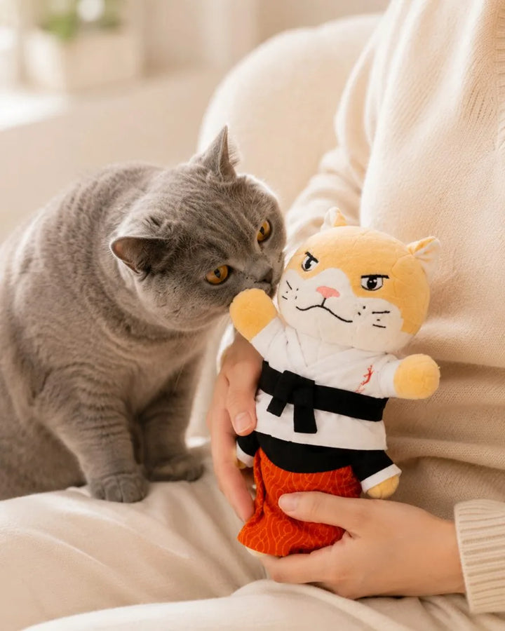 Movaro Karate Cat — cat hugging the karate plush toy