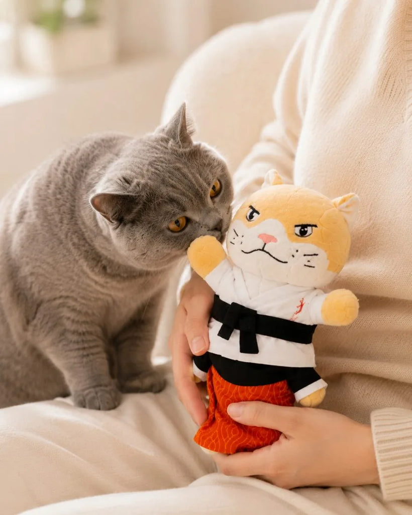 Movaro Karate Cat — cat nuzzling the karate plush toy